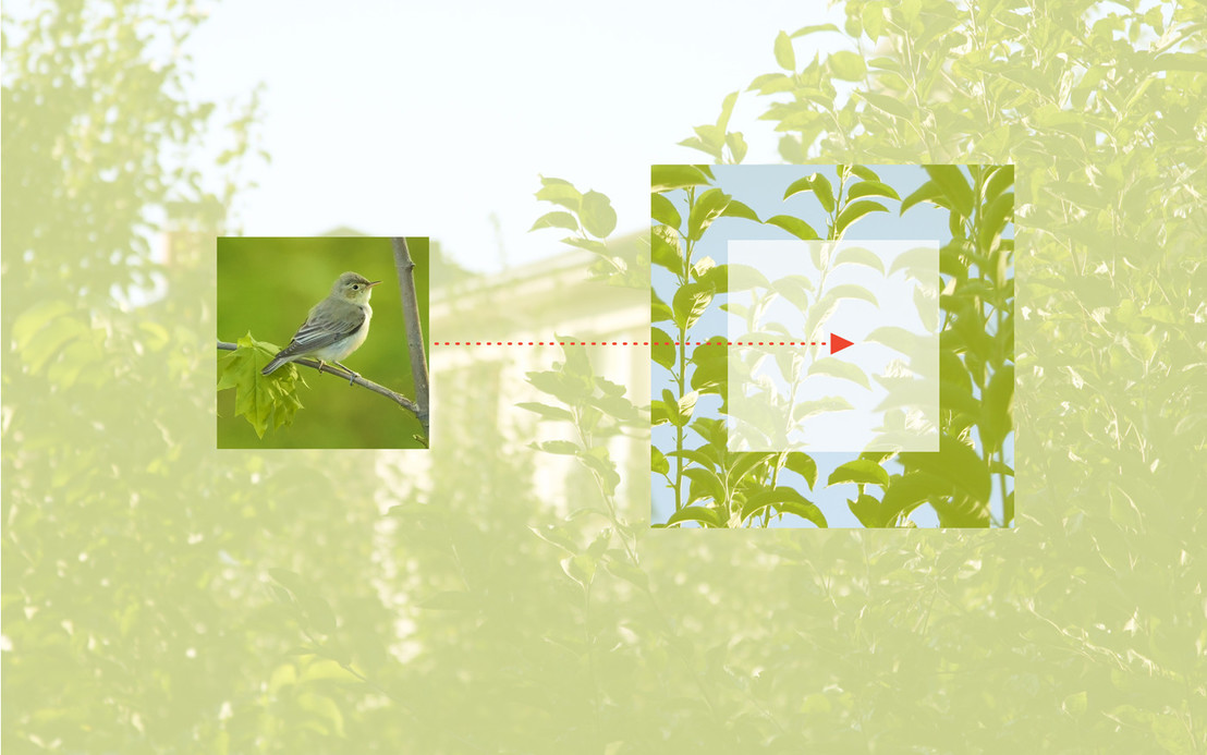 Анатомия знака Eco Villa #дизайн_вадим_пащенко