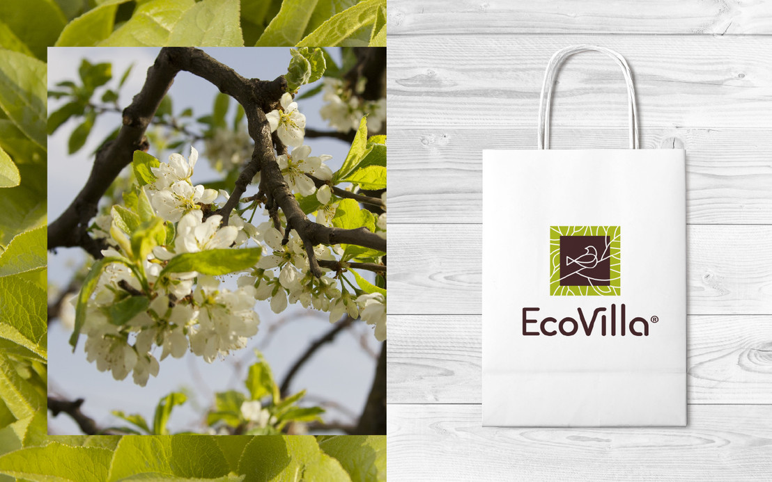 #потребительский_брендинг #логотип_Eco_Villa #дизайн_вадим_пащен