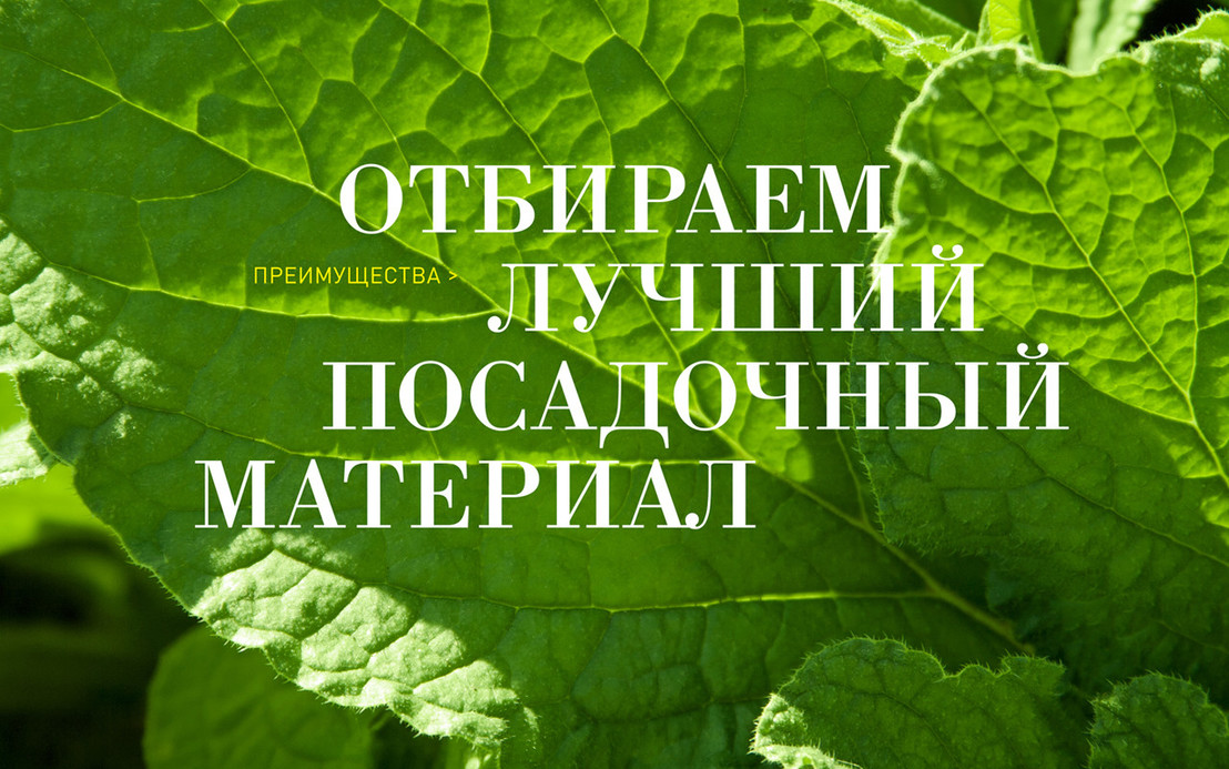Кей вижуал для рекламных кампаний LANCHEST
